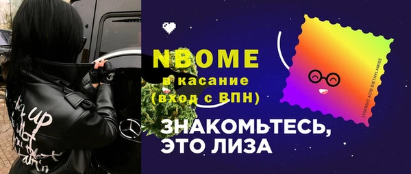 молекула духа Елабуга