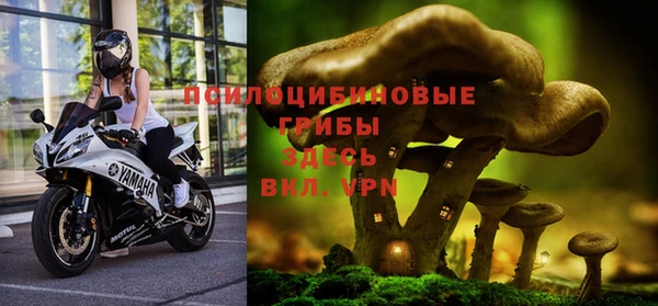 спайс Заволжье